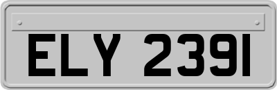 ELY2391