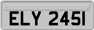 ELY2451