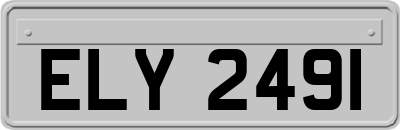ELY2491