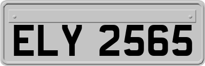 ELY2565