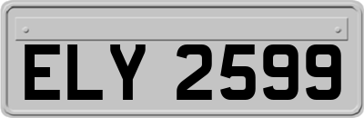 ELY2599