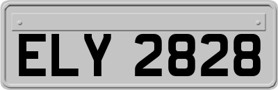 ELY2828