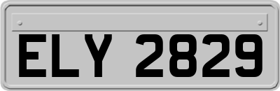 ELY2829