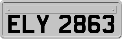 ELY2863