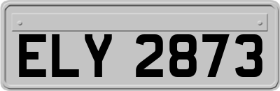 ELY2873