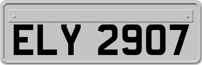 ELY2907