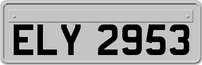 ELY2953