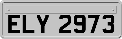 ELY2973