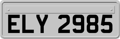 ELY2985
