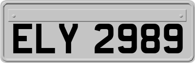 ELY2989
