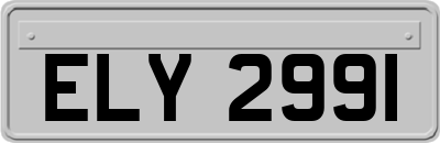 ELY2991