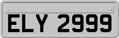 ELY2999