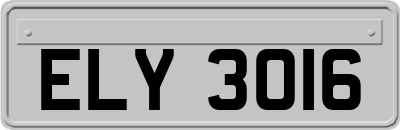ELY3016