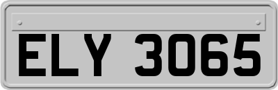 ELY3065
