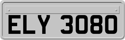 ELY3080