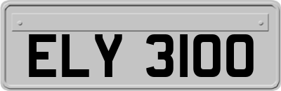 ELY3100