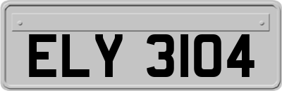 ELY3104