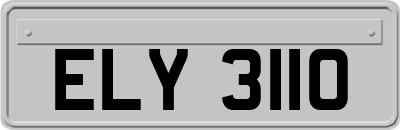 ELY3110