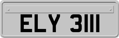 ELY3111