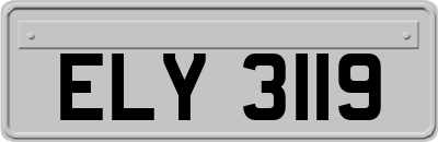 ELY3119