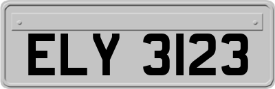 ELY3123