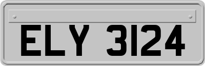 ELY3124
