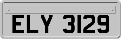 ELY3129