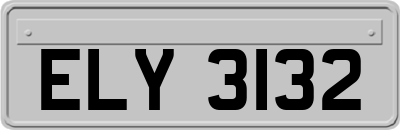 ELY3132