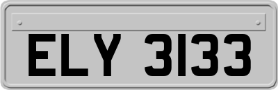 ELY3133