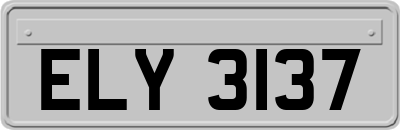 ELY3137