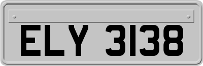 ELY3138