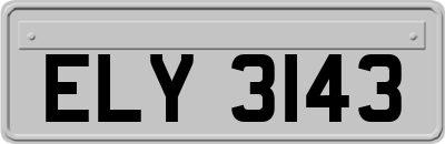 ELY3143