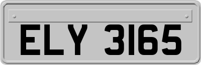 ELY3165