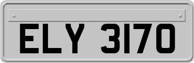 ELY3170