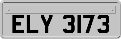 ELY3173