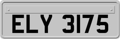 ELY3175
