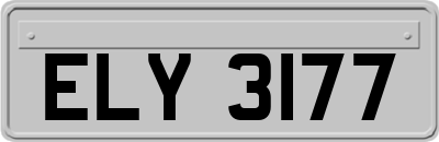 ELY3177