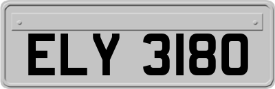 ELY3180