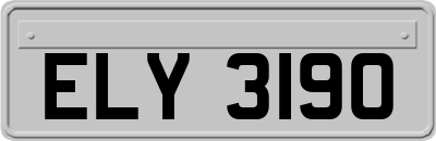 ELY3190