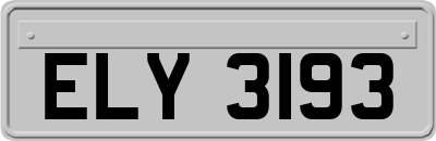 ELY3193