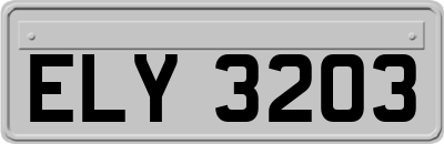 ELY3203