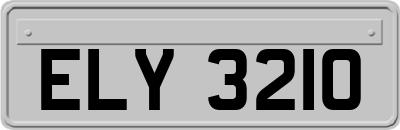ELY3210