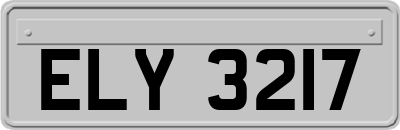 ELY3217