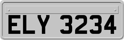 ELY3234
