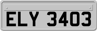 ELY3403