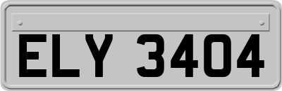 ELY3404