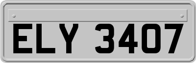 ELY3407