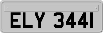 ELY3441