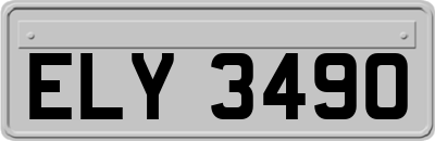 ELY3490