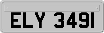 ELY3491